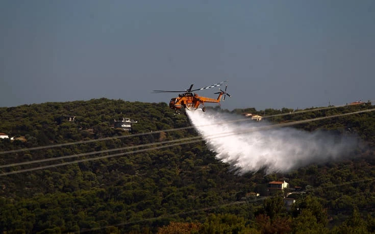 EKTAKTO: Πυρκαγιά σε τέσσερα μέτωπα μεταξύ Αμφίκλειας και Τιθορέας